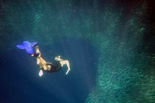 Irko op bezoek bij de sardientjes