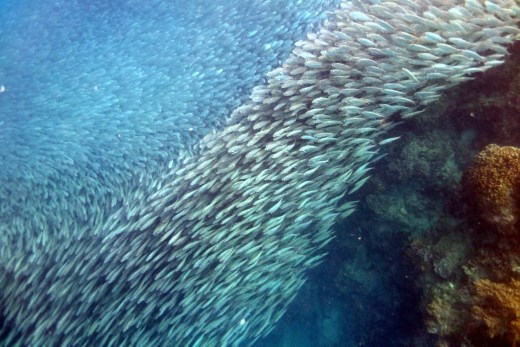 De choreografie kan adembenemend zijn