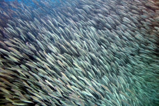 nog een laatste toegift