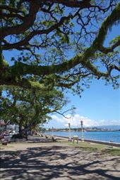 De boulevard van Dumaquete was een aardige plek om te vertoeven.: by irko_mirjam, Views[202]