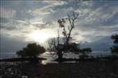Siquijor heeft de reputatie een magisch eiland te zijn: by irko_mirjam, Views[419]