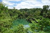 Nogmaals de smaragdgroene Loboc rivier: by irko_mirjam, Views[315]