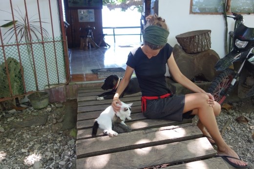 Mirjam vermaakte zich prima met de zeven katten