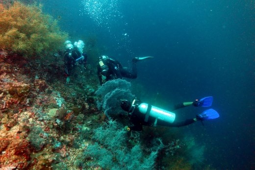 De loep wordt er bijgepakt voor het kleine spul