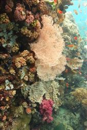 by irko_mirjam, Views[467]