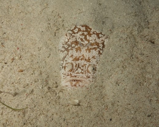 De karakteristieke (ingegraven) pose van een sterrenkijker
