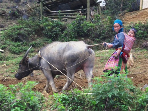 Sapa Mother and Child at work