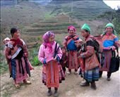 Sapa Market Day: by iro, Views[176]