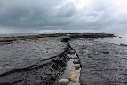 Blue Lias shales, Monmouth Beach, Lyme Regis, Jurassic Coast.
