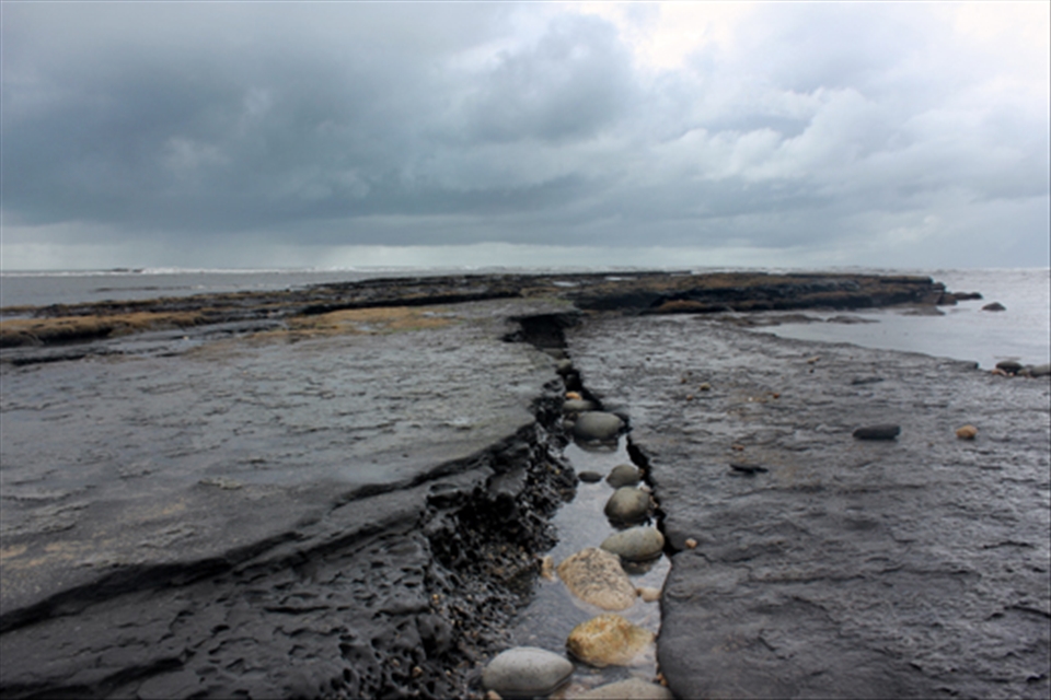 Blue Lias shales, Monmouth Beach, Lyme Regis, Jurassic Coast.