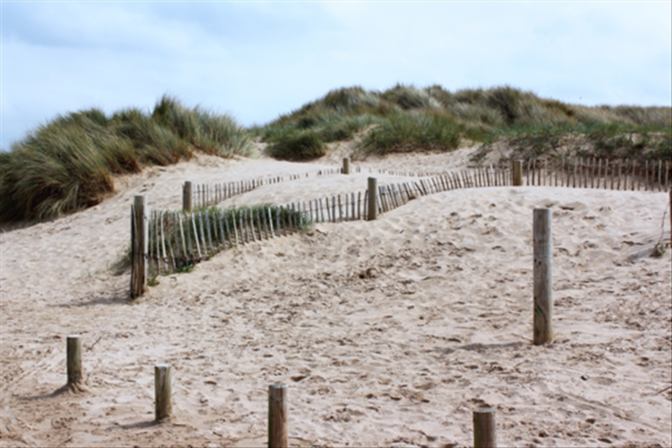 Sand dune defences at Ainsdale Beach, Lancashire Coast.