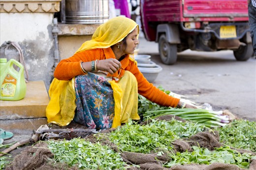 Streets are a major place of commerce thoughout India; a place of social interaction and economic activity. Street markets are typically on the side of the roads, where women sit on the ground and sell one or two types of fruits and/or vegetables.
