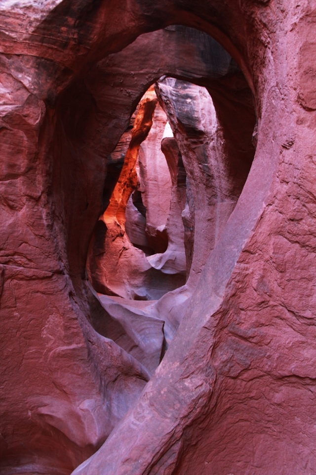 Every corner and fold in the canyon reveals a part of the earth's history.