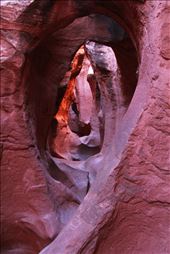 Every corner and fold in the canyon reveals a part of the earth's history.: by isaiahjboyle, Views[210]