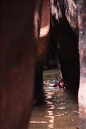 Water is the heart of the desert. In the slots we can swim in the veins.: by isaiahjboyle, Views[218]