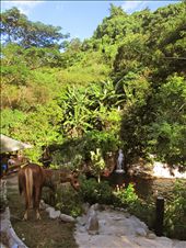 A man-made falls: by ishang, Views[338]