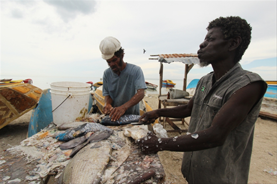Rocky Point is a small fishing village in the parish of Clarendon.