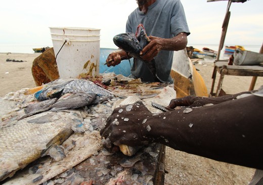 There is an effortless beauty in the way these people work and they are funny!