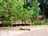 Walindi's warm welcome after that 45 minutes drive from Hoskinz airport.: by islandscenes, Views[238]