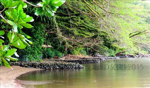 The breath-taking shores of Walindi Resort.
