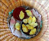 Part of the little party that made my stay memorable this year.: by islandscenes, Views[182]