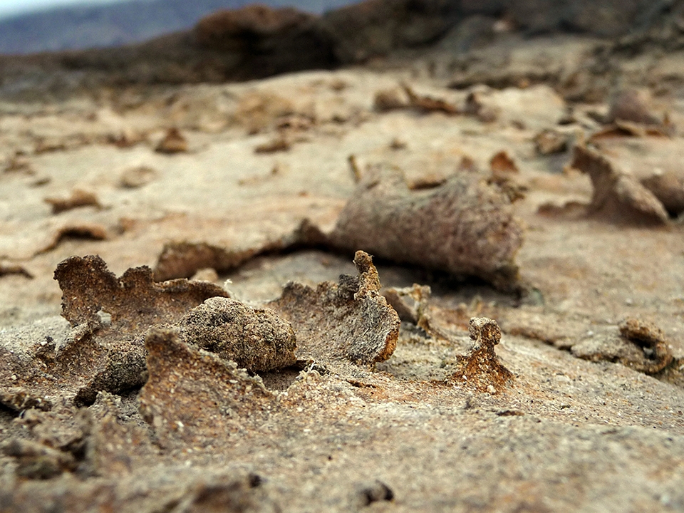 Even in the most simple or common things... Be curious and creative!