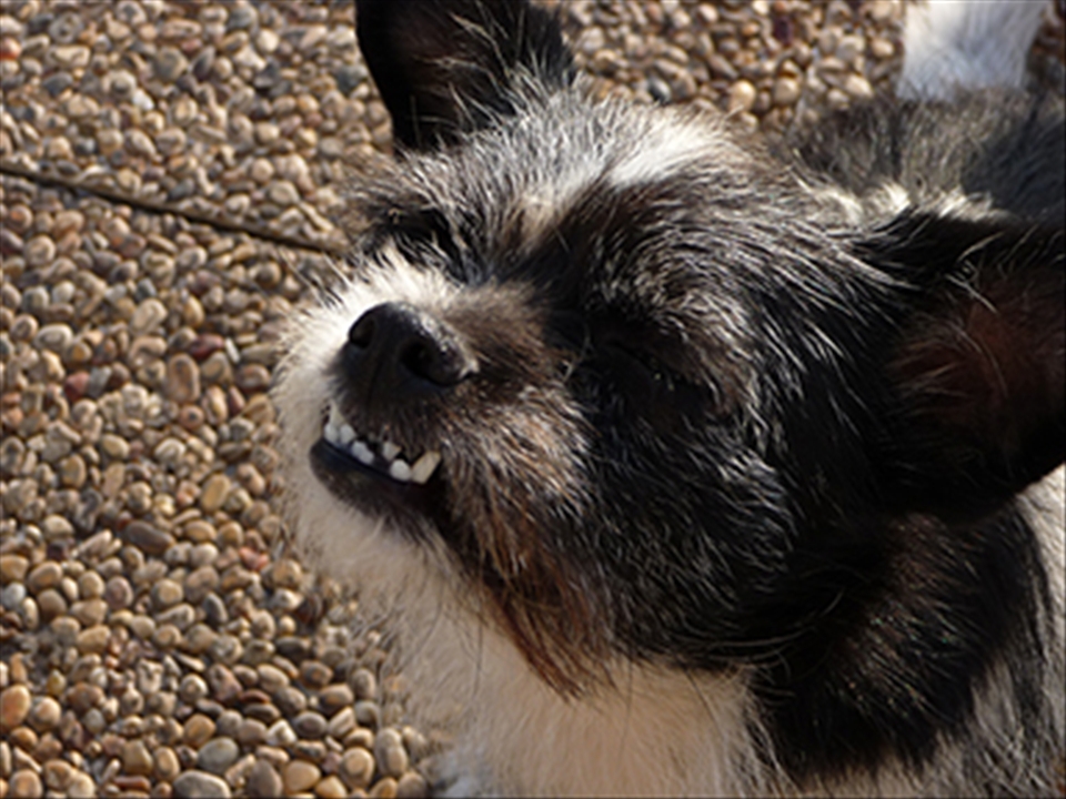 That´s why we always have to smile to the life...Be happy!