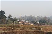 Tucked away from  Hsipaw town in Shan State, Nothern Myanmar, there is a small village composing of about 15 houses residing on the basin of a river. Surrounded by a dense forest, with a population of about 30 inhabitants, the village is home for villagers from different Palaung, Shan and Pa O, minorities and a prosperous natural plantations of sugarcane, rubber trees, banana trees and, rice fields


: by isma, Views[1073]