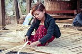 After preparing the campfire breakfast for the family, Hayma, the wife of Manue (her name means “forest” in Burmese) spends her morning hours cutting and laminating bamboo stalks into sheets and planks that serve as new walls for their small hut. Every year by the end of the monsoon rains, the bamboo planks have to be replaced and renewed to offer proper shelter for the family. Hamya explains that weaving bamboo is one of the ancestors’ techniques in the Shan Region: not only it shelters and protects us during the cold nights, but it also allows for the passage of the river breeze during the hot days.: by isma, Views[1111]