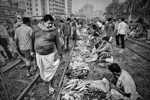 Buyer looking for fish