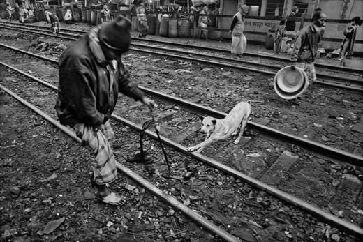 Relation between man and dog.