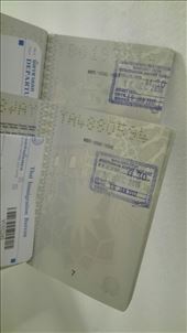 by iuggyandcele, Views[219]