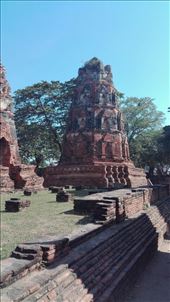 by iuggyandcele, Views[265]