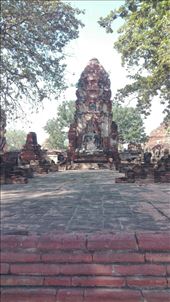 by iuggyandcele, Views[355]