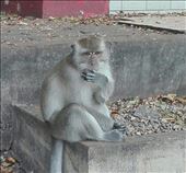 by iuggyandcele, Views[254]