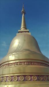 by iuggyandcele, Views[245]