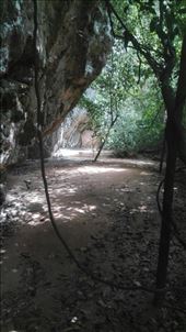 by iuggyandcele, Views[198]