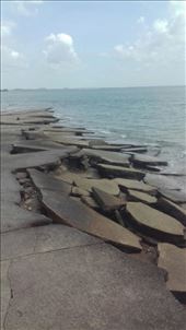 by iuggyandcele, Views[274]