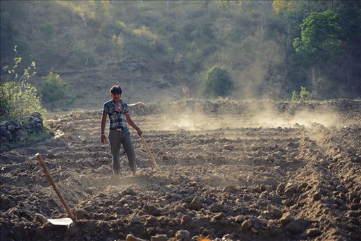 Children working the fields are a regular sight near Udaipur