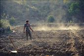 Children working the fields are a regular sight near Udaipur: by iulianu, Views[310]