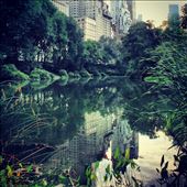 The pond: by ivan2404, Views[565]