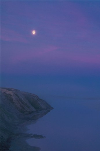 Russia, The Yamal Peninsula, coast of the Kara Sea (summer). These coasts are favorite summer habitat of the bearded seals.