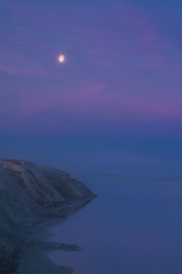 Russia, The Yamal Peninsula, coast of the Kara Sea (summer). These coasts are favorite summer habitat of the bearded seals.