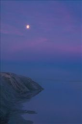 Russia, The Yamal Peninsula, coast of the Kara Sea (summer). These coasts are favorite summer habitat of the bearded seals.: by ivan_sky, Views[497]