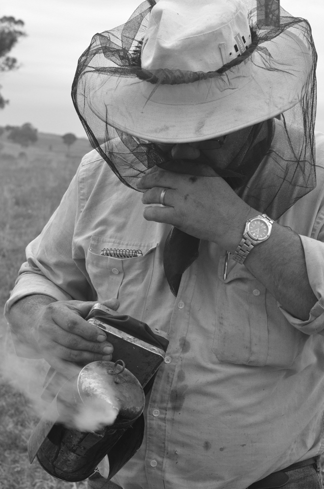 The beekeeper lights the 