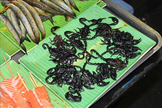 Raw Scorpions for the Grill