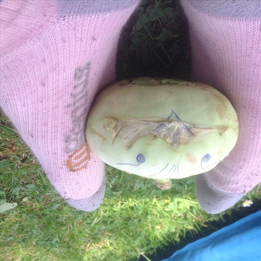 Her Ken the Kolorabi finally gets eaten. 