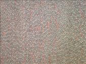 Names is Jewish victims on the walls of a Jewish Synagogue in Prague. : by j-a-z, Views[599]