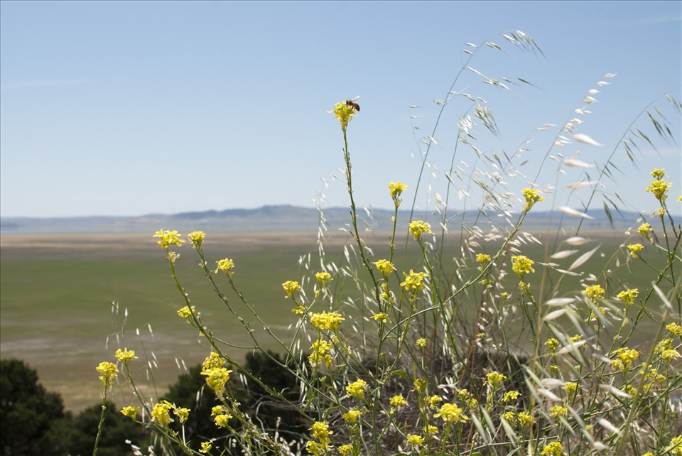 Early morning Lake George