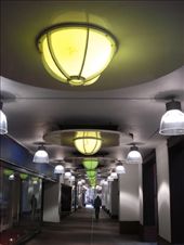 Deathly Hallows Pt 1 Hermione remembers they didn't celebrate Harry's birthday. Harry appreciates this but as they just fought off some Death Eaters they should go to the safe place of 12 Grimauld Place.: by jac995, Views[231]